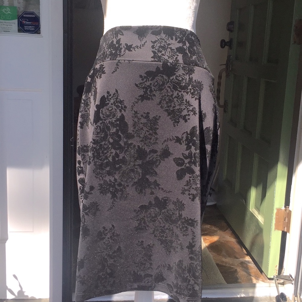 Fancy Skirt NWOT